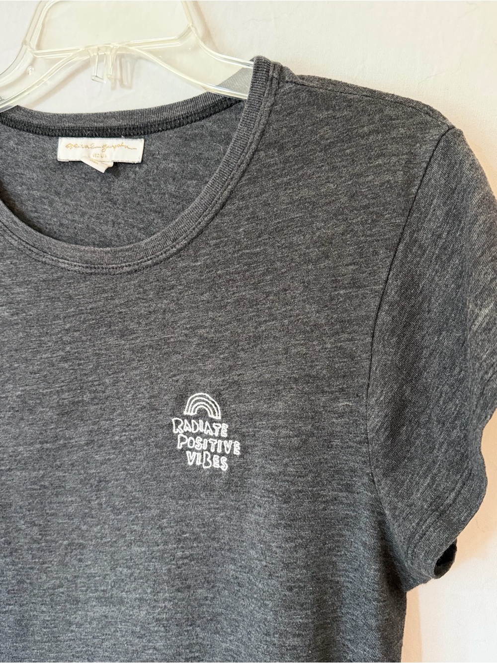 Spiritual Gangster Radiate Positive Vibes Cropped Tee Gray